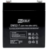 Аккумулятор RUCELF DM12-7